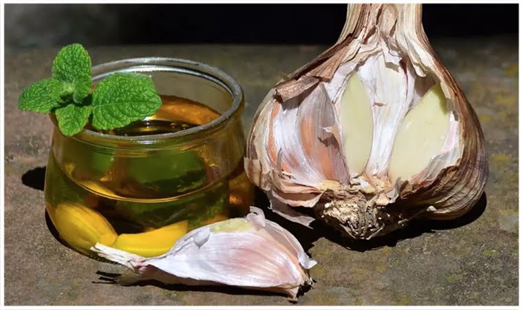 Trẻ sơ sinh uống dầu tỏi được không, mẹ cần lưu ý những gì? 4 toi-tot-cho-tre-so-sinh-va-tre-nho